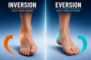 inversion vs. eversion of the foot